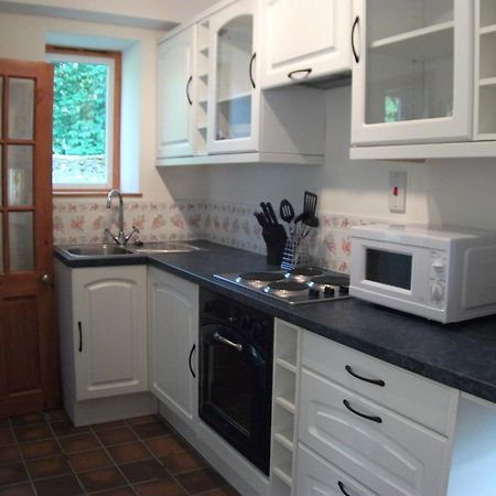 Bryn Cottage Llandderfel Exterior photo
